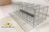 kandang-ayam-layer-4