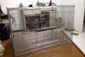 kandang-lovebird-1